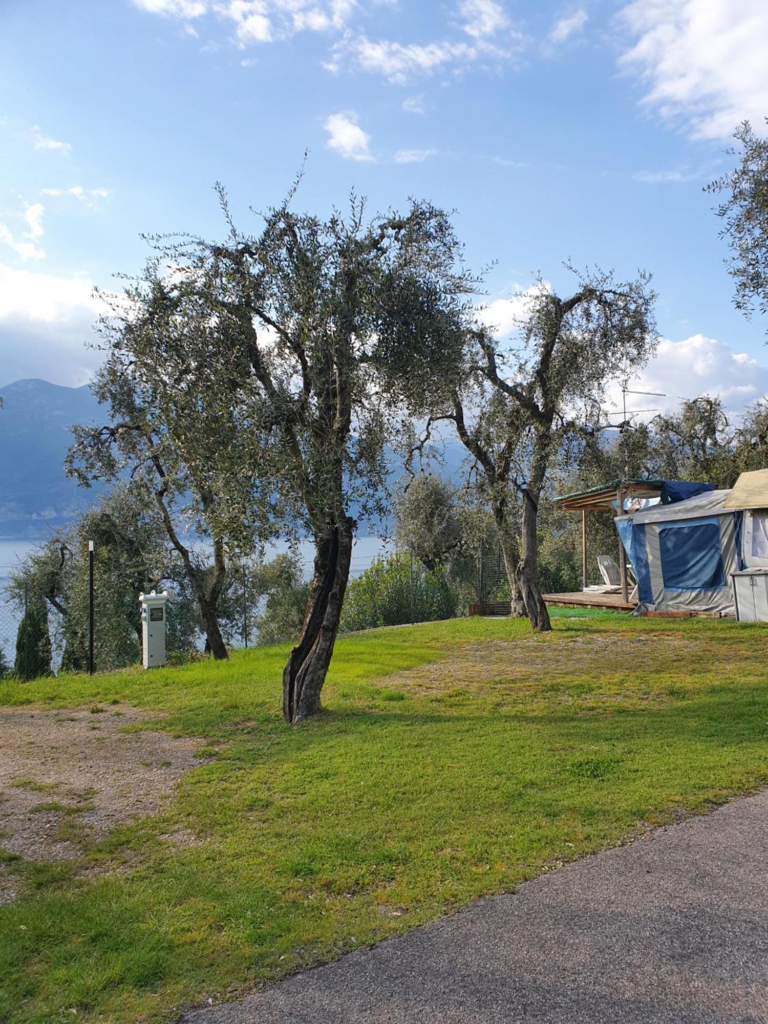 Camping Le Maior Бренцоне сул Гарда Екстериор снимка