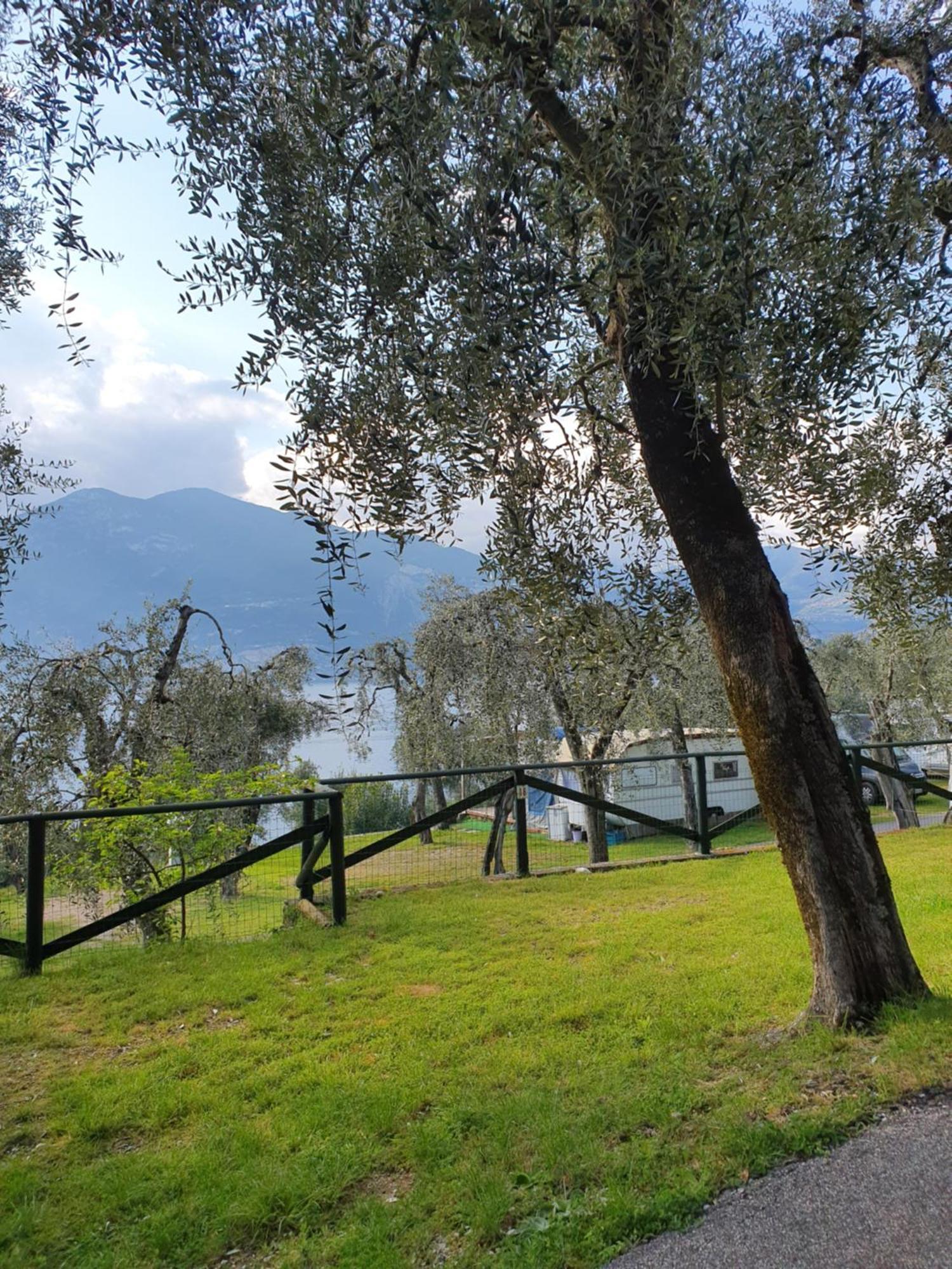 Camping Le Maior Бренцоне сул Гарда Екстериор снимка
