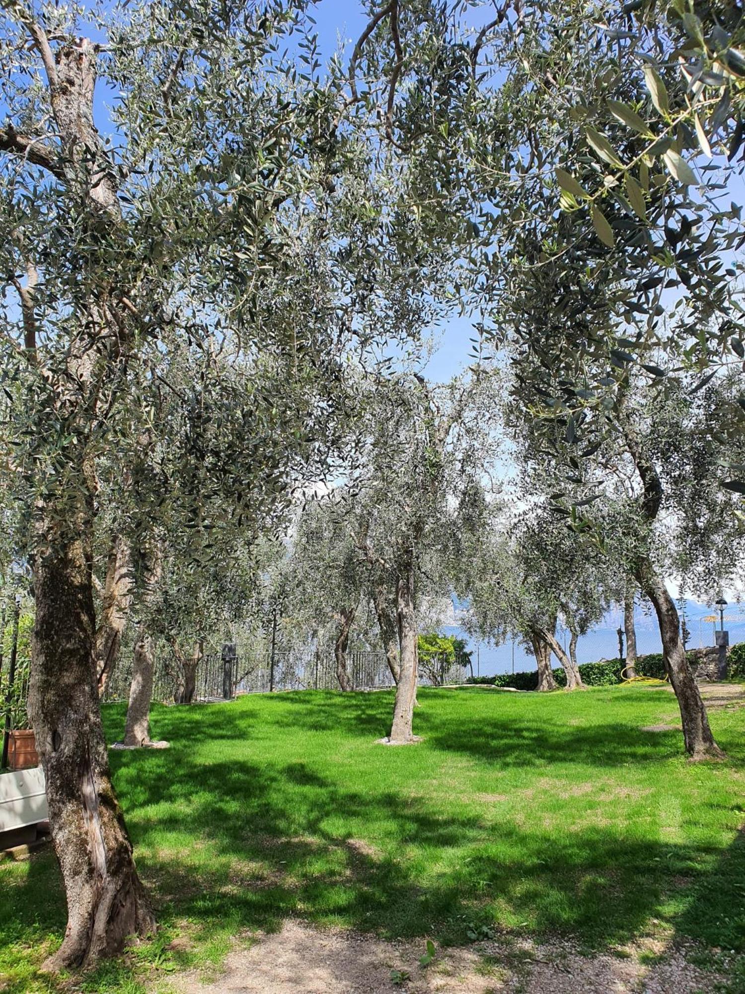 Camping Le Maior Бренцоне сул Гарда Екстериор снимка
